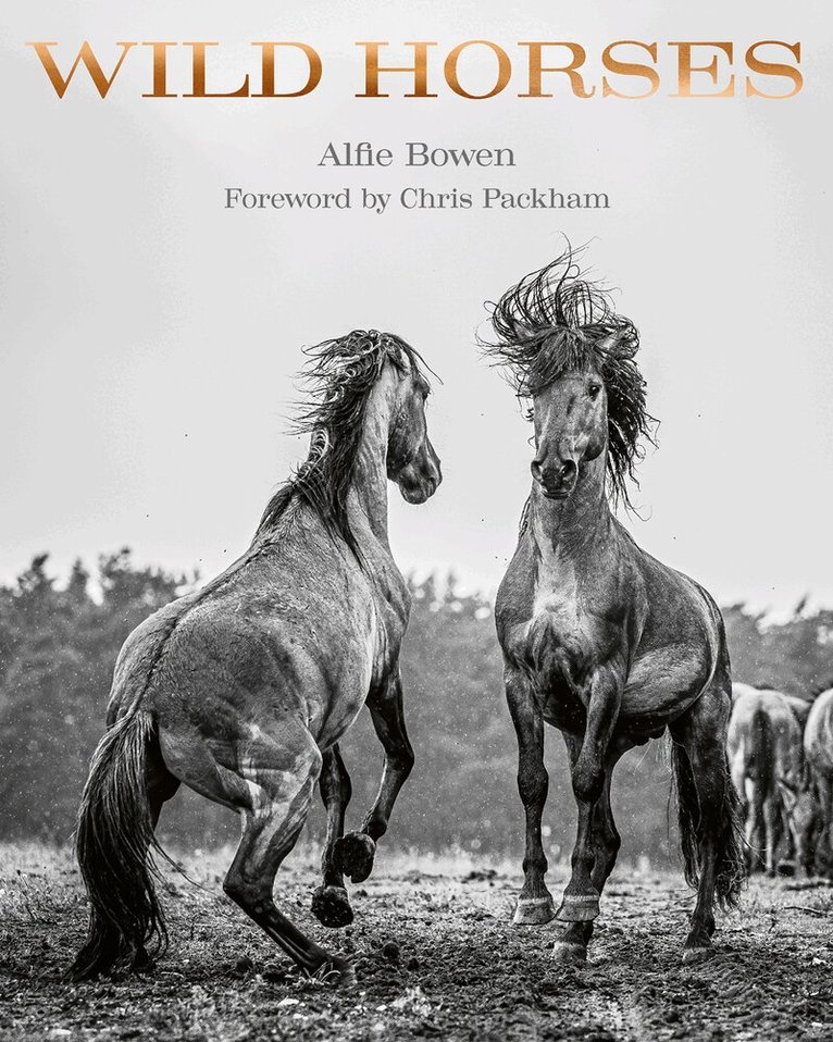 Alfie Bowen - Wild Horses, Inbunden