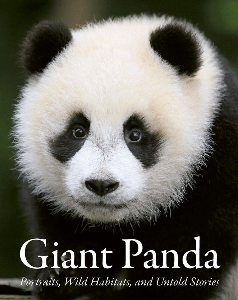 China The National Forestry and Grassland Administration - Giant Panda, Inbunden. Tillgänglighet: Lägg i varukorg