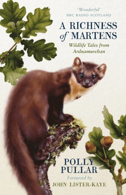 Polly Pullar - Richness of Martens, E-bok. Tillgänglighet: Lägg i varukorg