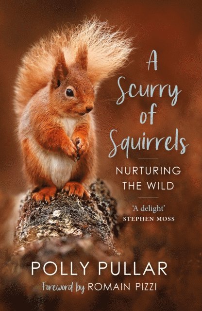 Polly Pullar - Scurry of Squirrels, E-bok