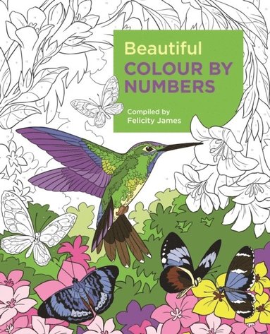 Beautiful Colour by Numbers by Felicity James