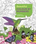 Beautiful Colour by Numbers