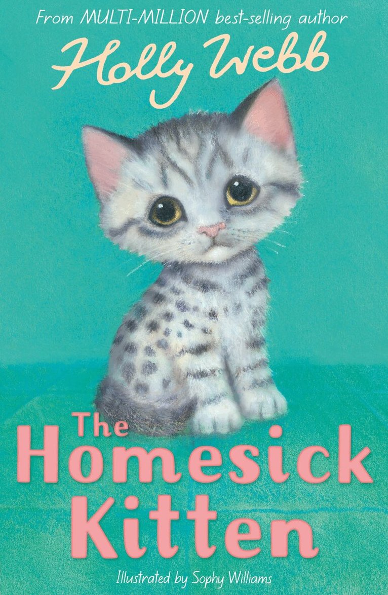 Holly Webb - The Homesick Kitten, Häftad