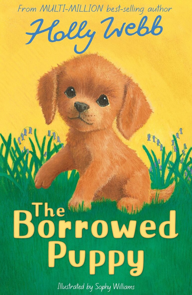 Holly Webb - The Borrowed Puppy, Häftad