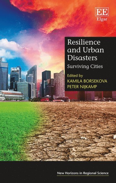 Resilience and Urban Disasters