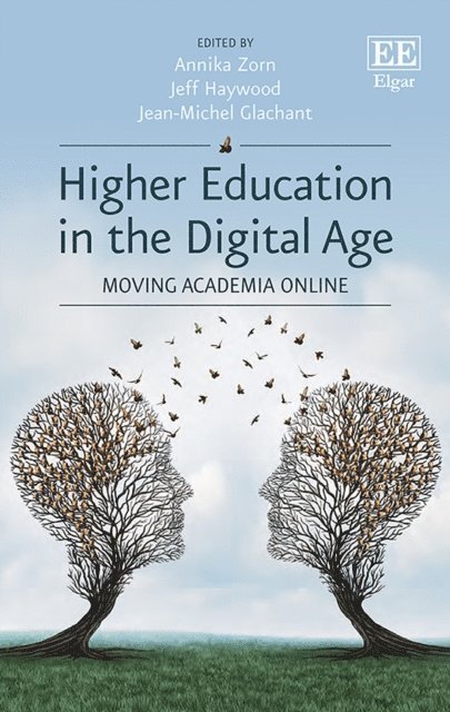 Jean-Michel Glachant, Jeff Haywood, Annika Zorn - Higher Education in the Digital Age, E-bok