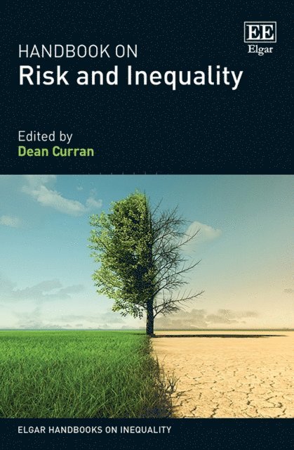 Dean Curran - Handbook on Risk and Inequality, E-bok
