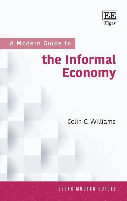 Colin C. Williams - Modern Guide to the Informal Economy, E-bok