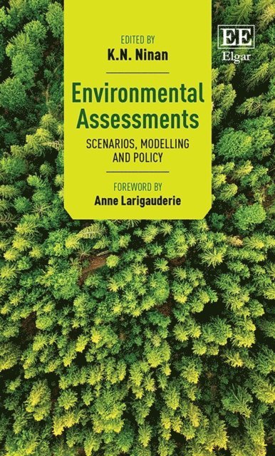 K. N. Ninan - Environmental Assessments, E-bok
