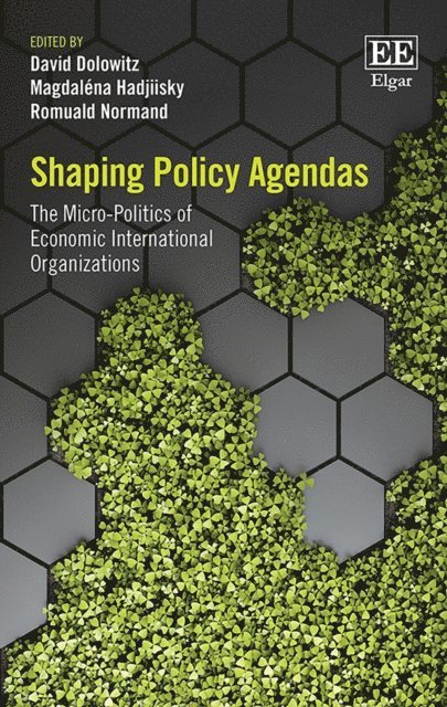 Romuald Normand, Magdalena Hadjiisky, David Dolowitz - Shaping Policy Agendas, E-bok