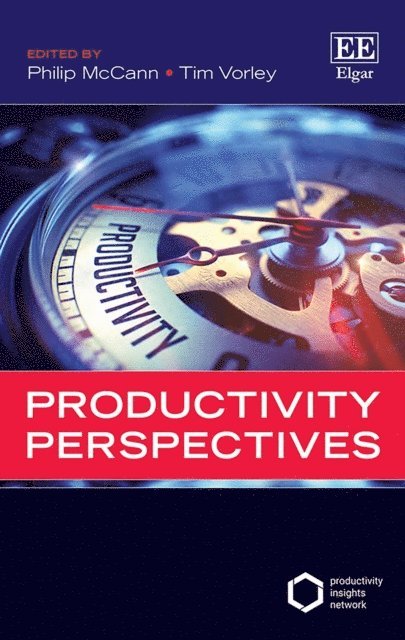 Tim Vorley, Philip McCann - Productivity Perspectives, E-bok