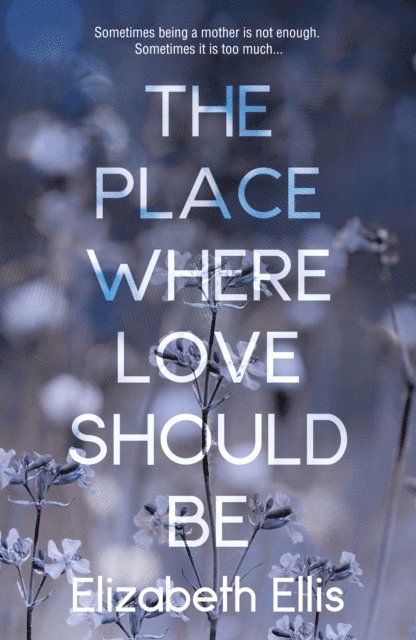 Elizabeth Ellis - Place Where Love Should Be, E-bok