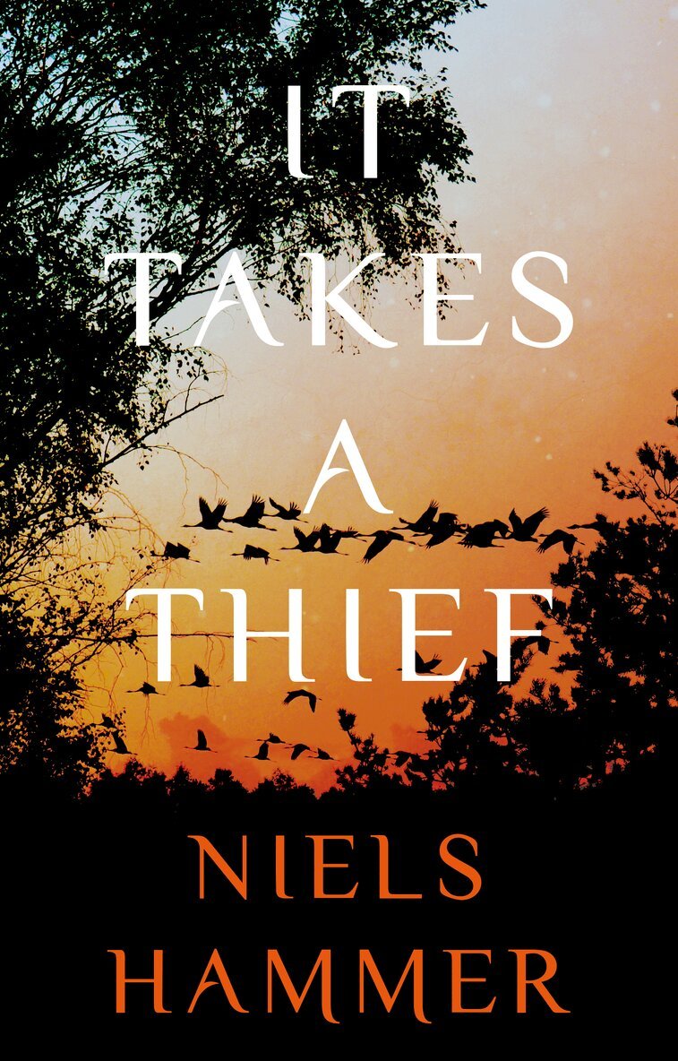 Niels Hammer - It Takes a Thief, Häftad. Tillgänglighet: Lägg i varukorg