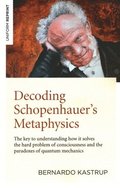 Decoding Schopenhauers Metaphysics