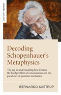 Decoding Schopenhauer's Metaphysics