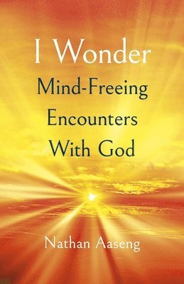 Nathan Aaseng - I Wonder: Mind-Freeing Encounters With God, Häftad