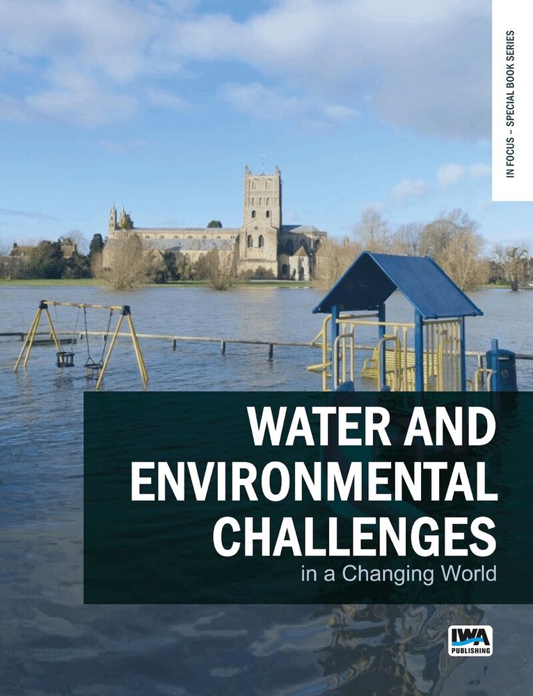 Mauro De Marchis, Luigi Berardi - Water and Environmental Challenges in a Changing World, Häftad