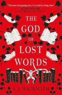 God of Lost Words