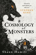 Cosmology of Monsters