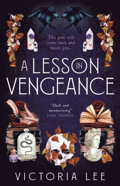 Victoria Lee - Lesson in Vengeance, E-bok