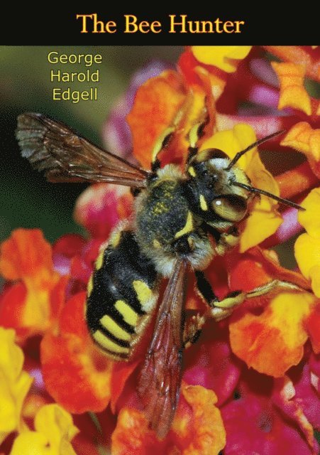 George Harold Edgell - Bee Hunter, E-bok