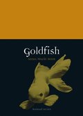 Goldfish