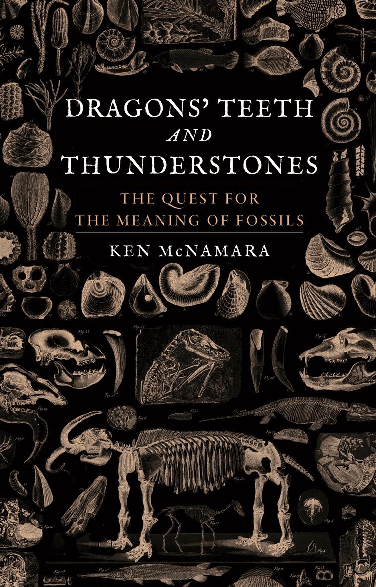 Ken McNamara - Dragons’ Teeth and Thunderstones, Inbunden. Tillgänglighet: Lägg i varukorg