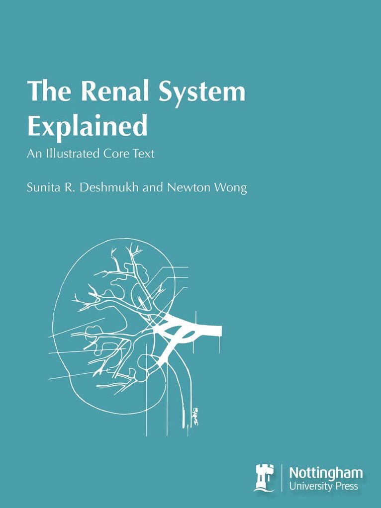 Renal System Explained