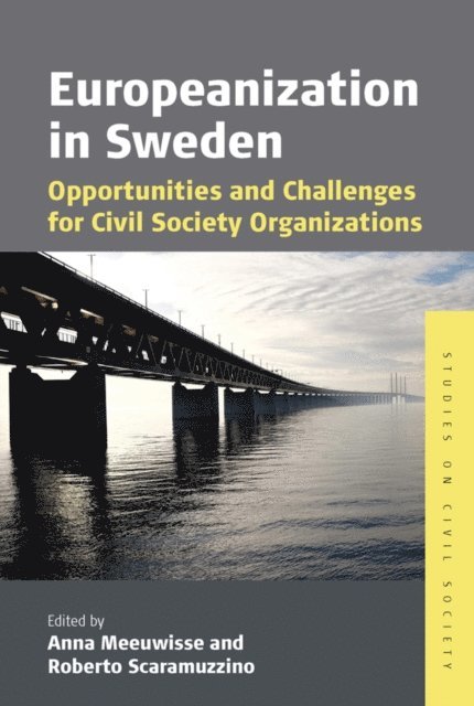 Roberto Scaramuzzino, Anna Meeuwisse - Europeanization in Sweden, E-bok