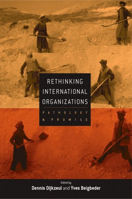 Yves Beigbeder, Dennis Dijkzeul - Rethinking International Organizations, E-bok