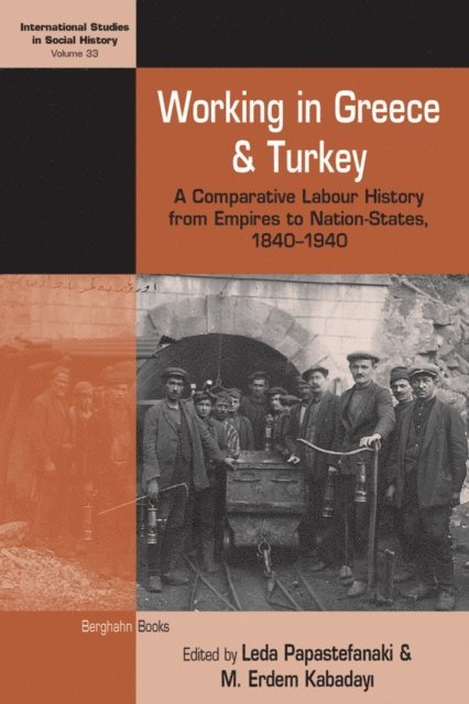 M. Erdem Kabadayi, Leda Papastefanaki - Working in Greece and Turkey, E-bok