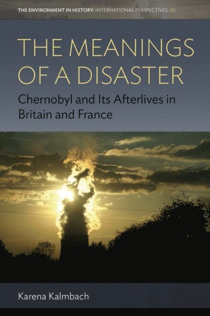 Karena Kalmbach - Meanings of a Disaster, E-bok