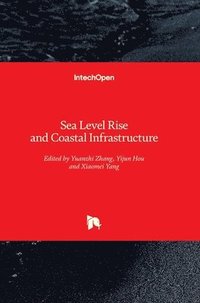Sea Level Rise and Coastal Infrastructure