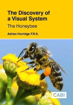 Adrian Horridge - Discovery of a Visual System: The Honeybee, Inbunden