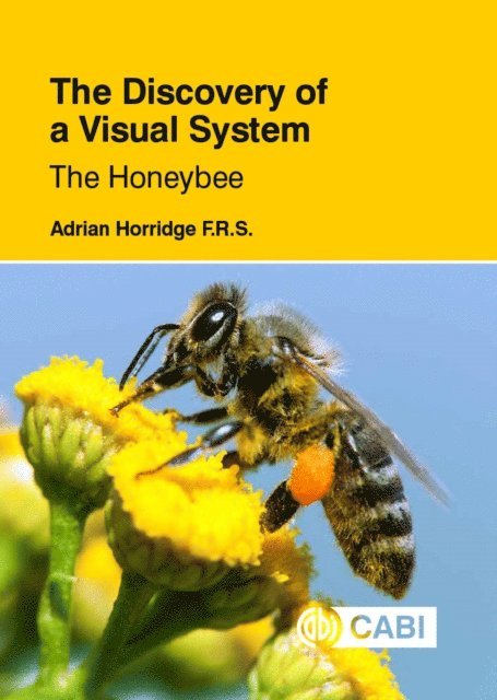 Adrian Horridge - Discovery of a Visual System: The Honeybee, E-bok