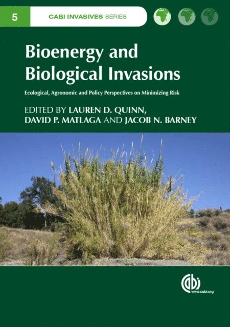 Lauren D Quinn, Jacob N Barney, David Matlaga - Bioenergy and Biological Invasions, E-bok