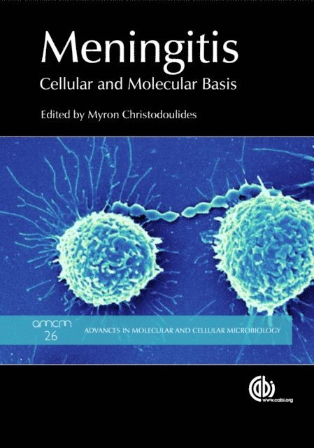 Myron Christodoulides - Meningitis, E-bok