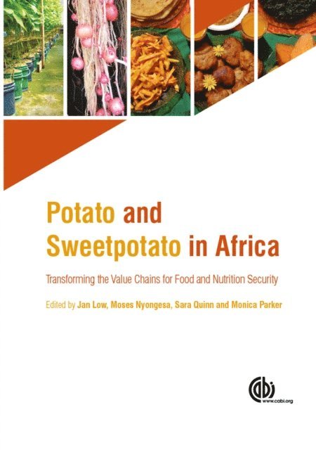 Jan Low, Moses Nyongesa, Sara Quinn, Monica Parker - Potato and Sweetpotato in Africa, E-bok