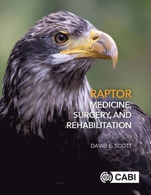 David Scott - Raptor Medicine, Surgery, and Rehabilitation, Inbunden