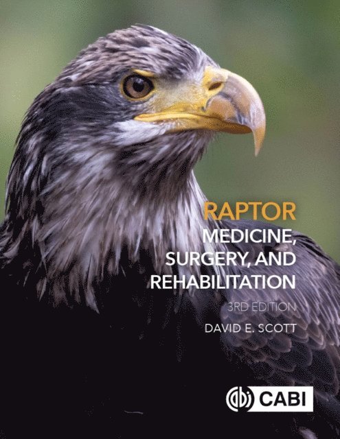 David Scott - Raptor Medicine, Surgery, and Rehabilitation, E-bok