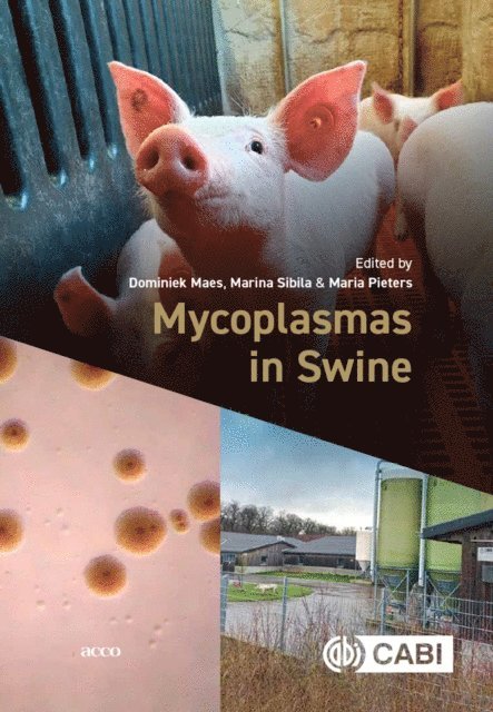 Dominiek Maes, Marina Sibila, Maria Pieters - Mycoplasmas in Swine, E-bok