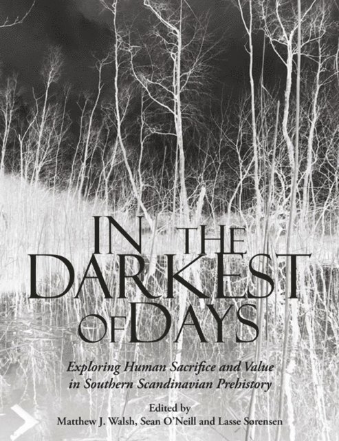 Sorensen Lasse Sorensen, O'Neill Sean O'Neill, Walsh Matthew J. Walsh - In the Darkest of Days, E-bok