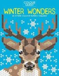 Colour Quest (R): Winter Wonders