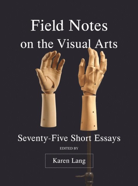 Karen Lang - Field Notes on the Visual Arts, E-bok
