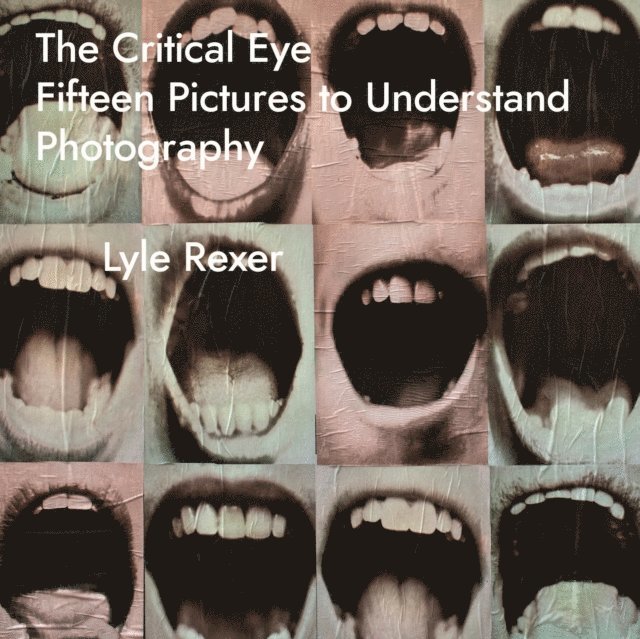 Lyle Rexer - Critical Eye, E-bok