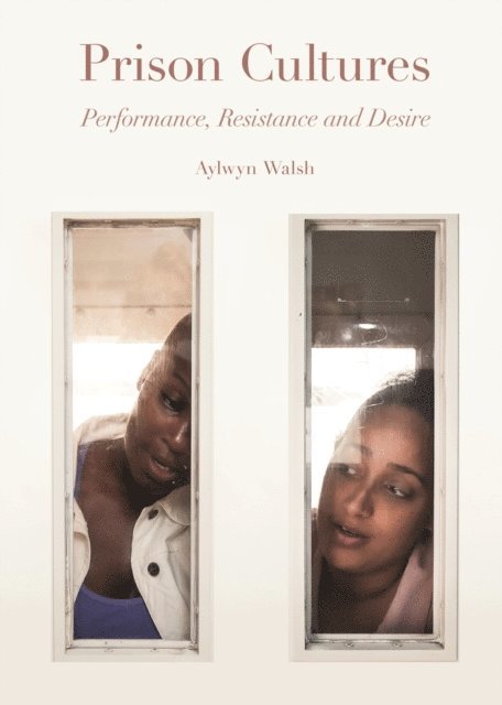 Aylwyn Walsh - Prison Cultures, E-bok