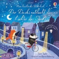 Sam Taplin - Mein leuchtendes Bilderbuch: Der Dachs entdeckt die Lichter der Stadt, Kartonnage