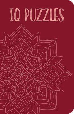 IQ Puzzles av Eric Saunders