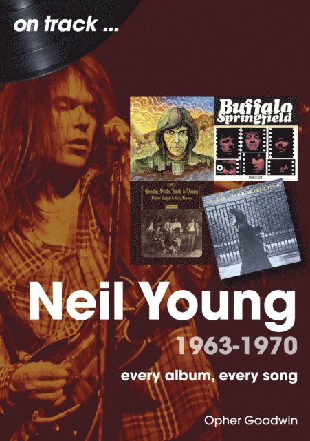 Opher Goodwin - Neil Young, E-bok