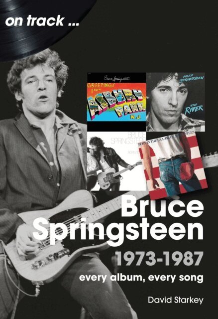 David Starkey - Bruce Springsteen, E-bok